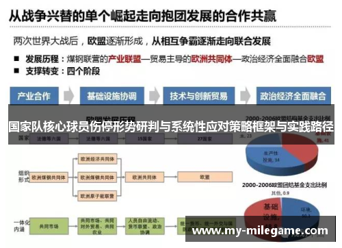 国家队核心球员伤停形势研判与系统性应对策略框架与实践路径 国家队核心球员伤停形势研判与系统性应对策略框架与实践路径